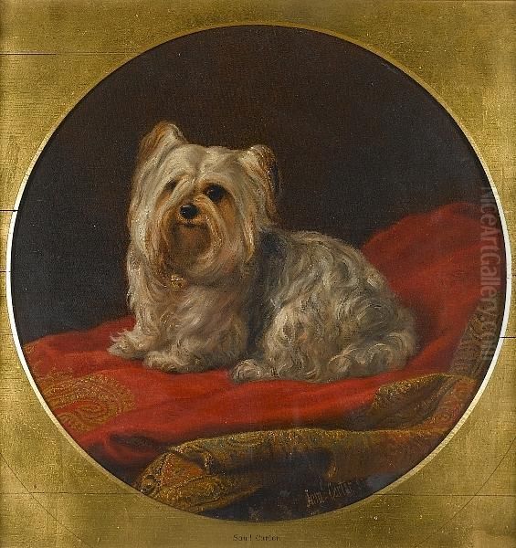 A Yorkshire Terrier On A Divan Oil Painting by Samuel John Carter