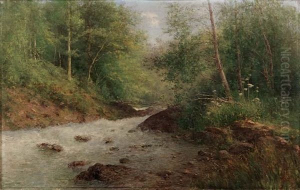 Torrente Nel Bosco Oil Painting by Robaldo Casalini Baldelli