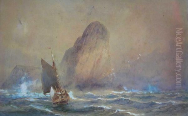 Coastal Scene With Rocky Outcrops Andseabirds Oil Painting by William Casley