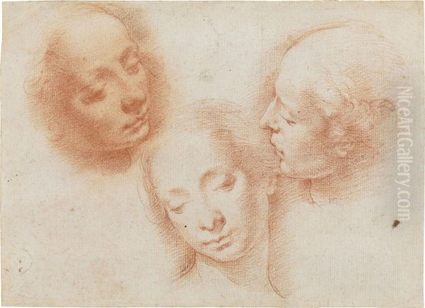 Three Studies Of A Woman's Head Oil Painting by Alessandro Casolani