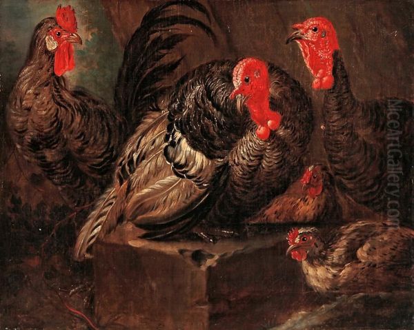 Aves De Corral Oil Painting by Giovanni Agostino Cassana