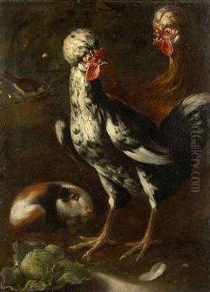 A Still Life With Animals Oil Painting by Giovanni Agostino Cassana