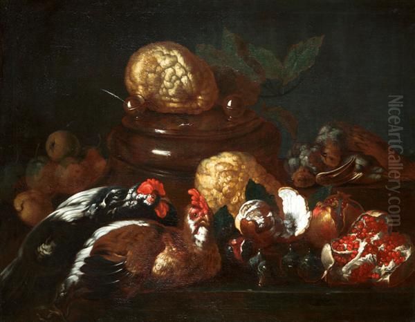 Nature Morte De Fruits, Gibier Et Gallinaces Oil Painting by Niccolo Cassana