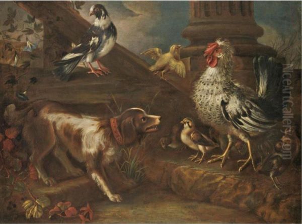 A Farmyard Still Life With A Spaniel, A Cockerel, Chicks, And A Pigeon Oil Painting by Niccolo Cassana