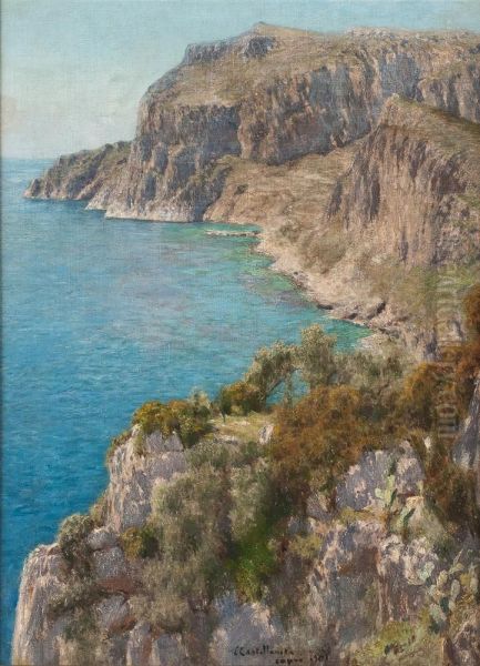 Felsen Von Capri Oil Painting by Enrico Castellaneta