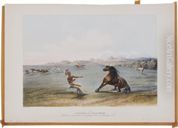 Catching The Wild Horse Oil Painting by George Catlin