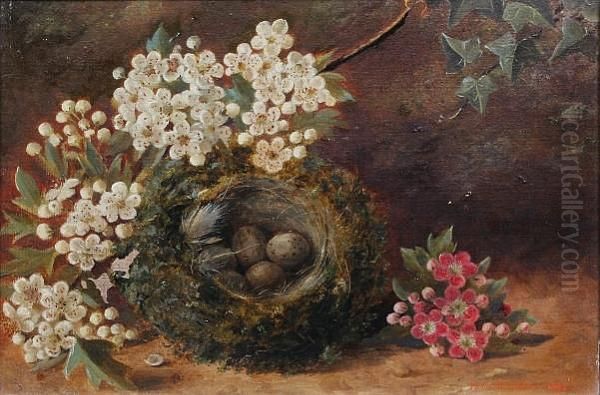 Bird's Nest And Blossom Oil Painting by R Catstree