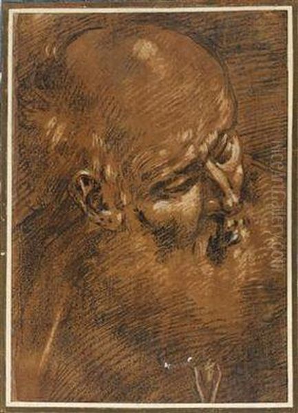 A Head Of Abearded Man Oil Painting by Giacomo Cavedone