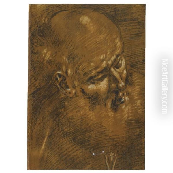 The Head Of An Old Man, Probably St Joseph Oil Painting by Giacomo Cavedone