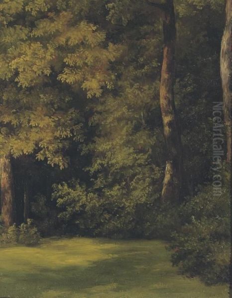 Fallen Tree Trunks On A Forest Floor; And A Woodland Clearing Oil Painting by Jean-Michel Cels