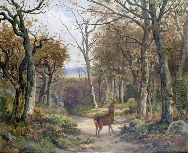 Cerf Dans Le Sous-bois Oil Painting by Charles Ferdinand Ceramano