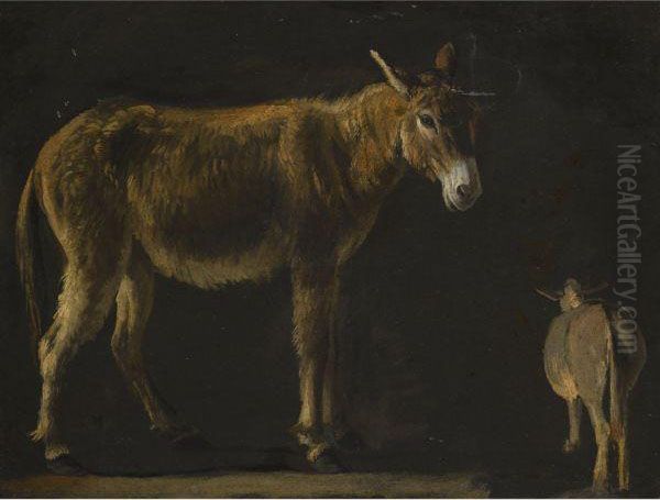 Studies Of A Donkey Oil Painting by Michelangelo Cerqouzzi