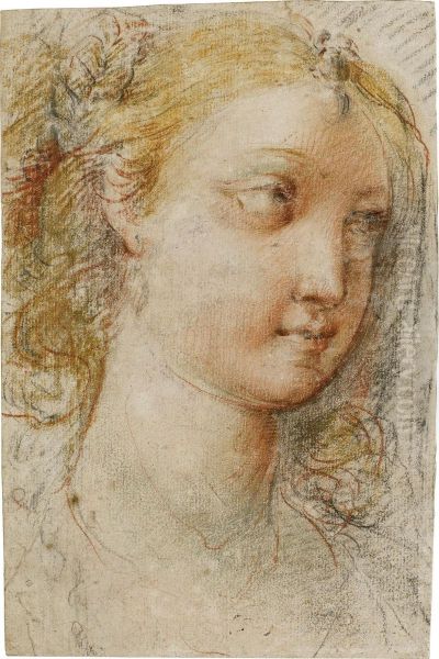 Head Of A Young Woman, Looking To The Left Oil Painting by Giuseppe Cesari