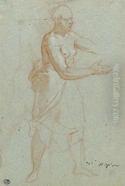 A Standing Female Figure Oil Painting by Bartolomeo Cesi