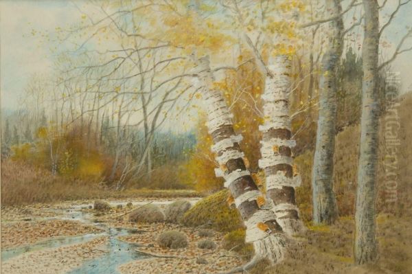 Birches By A Forest Stream Oil Painting by Samuel R. Chaffee