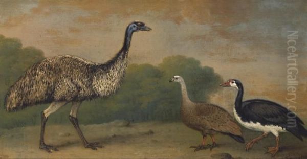 An Emu, A Cape Barren Goose And A Magpie Goose, In A Landscape Oil Painting by Henry Bernard Chalon