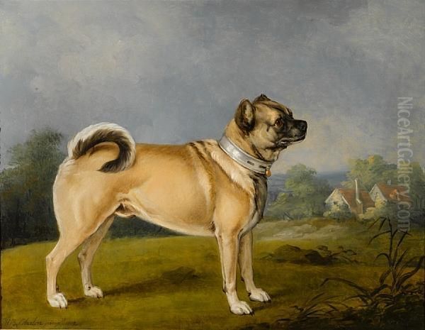 A Favorite Pug Oil Painting by Henry Bernard Chalon