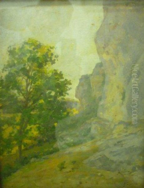 Arbre Et Falaise Oil Painting by Alexandre Jacques Chantron