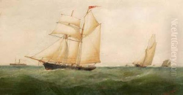 Atrading Schooner With Other Shipping Oil Painting by Taylor Charles