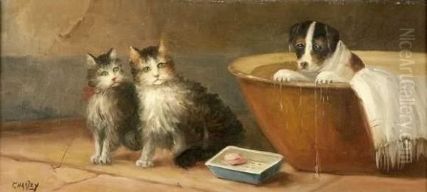 Chats Et Chiot Oil Painting by Charley