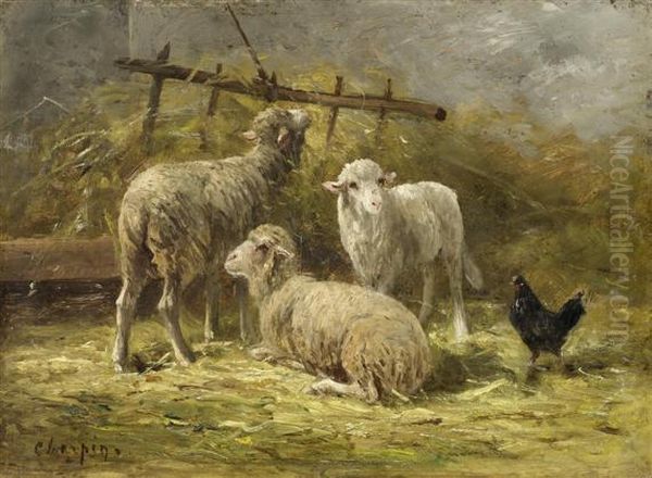 Three Sheep In A Barn Oil Painting by Albert Charpin