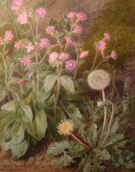 A Botanical Study Of Red Campions And Dandelions Oil Painting by Marian Emma Chase