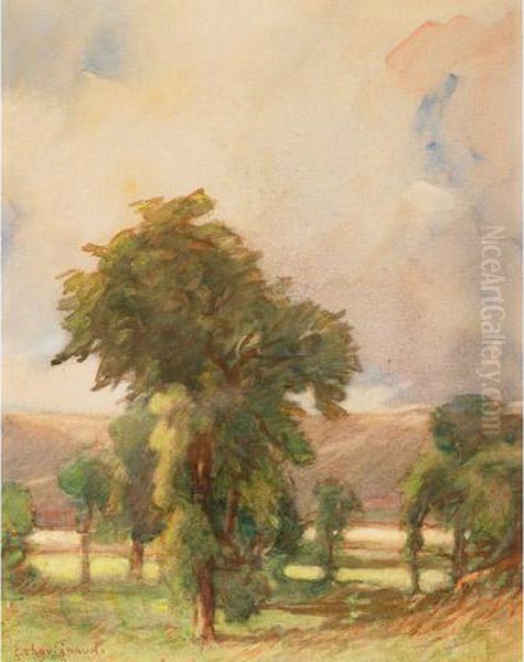 Trees In A Field Oil Painting by Georges Chavignaud