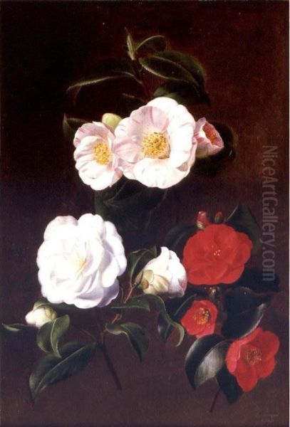 A Study Of Camellias Oil Painting by Antoine Chazal