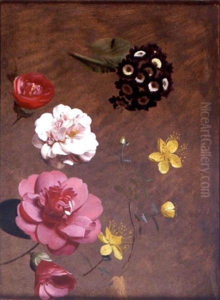 A Study Of Primulas, Camellias And Prunus Oil Painting by Antoine Chazal