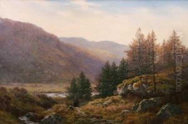 Lledr Valley, North Wales Oil Painting by Henry Cheadle