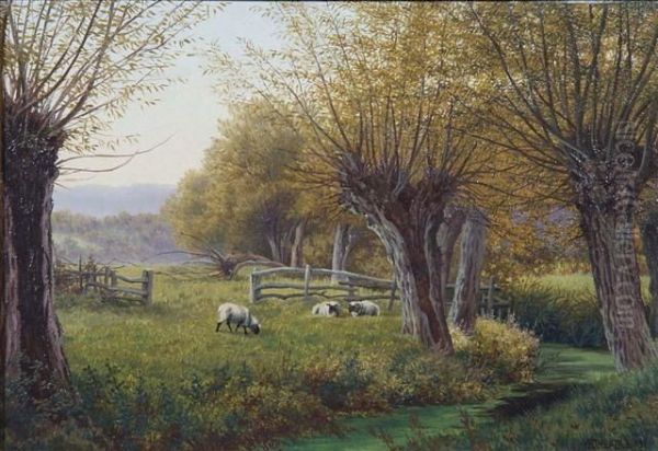 Sheep Grazing In A Wooded Landscape Oil Painting by Henry Cheadle