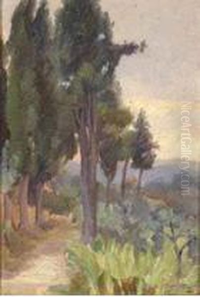 Paesaggio Fiesolano Oil Painting by Enrichetta Chiostri