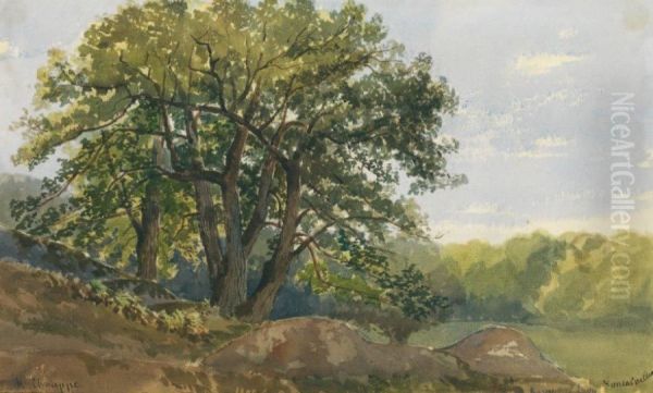 Foret De Fontainebleau Oil Painting by Jean-Henri Chouppe