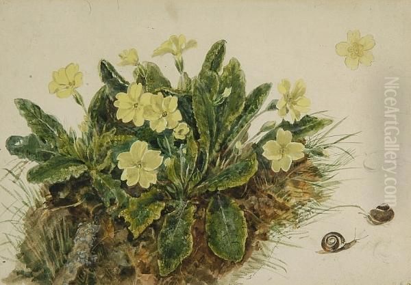 Primroses On A Bank Oil Painting by Emma Churchyard