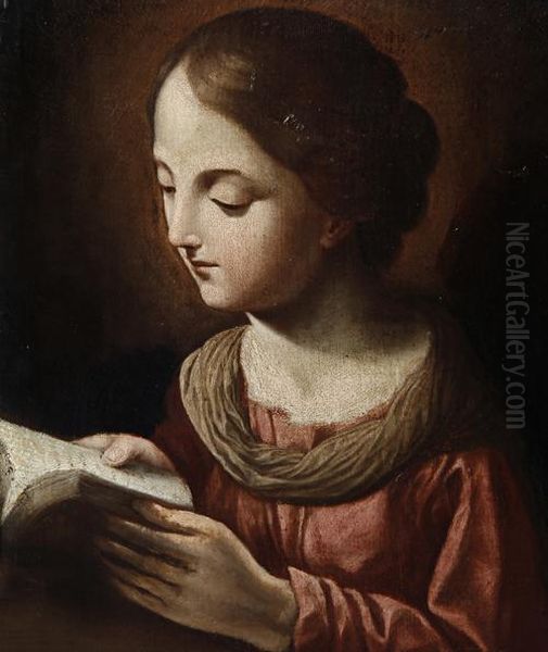 The Madonna Reading Oil Painting by Carlo Cignani