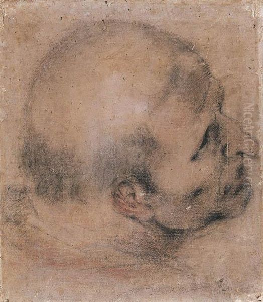 Head Of A Man Looking Up To The Right Oil Painting by Martino Cignaroli