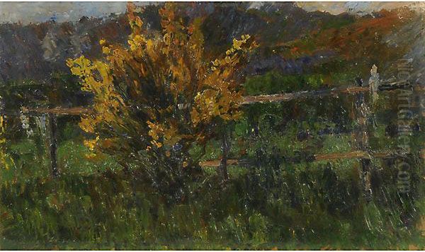 Albero In Fiore Oil Painting by Guido Cinotti