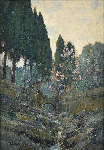 Fiume Tra Gli Alberi Oil Painting by Luigi Clara