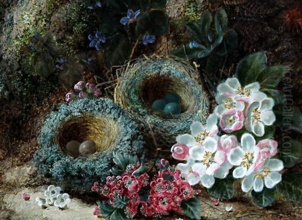 Still Life Of Birds Nest With Eggs And Flowers On A Mossy Bank Oil Painting by Oliver Clare