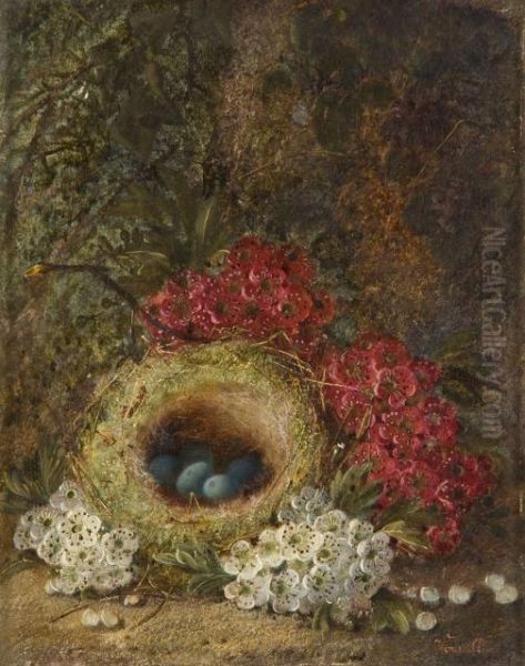 Nid Dans Un Sous-bois Et Composition Aux Pommes, Prunes, Raisins Et Framboises Oil Painting by Vincent Clare