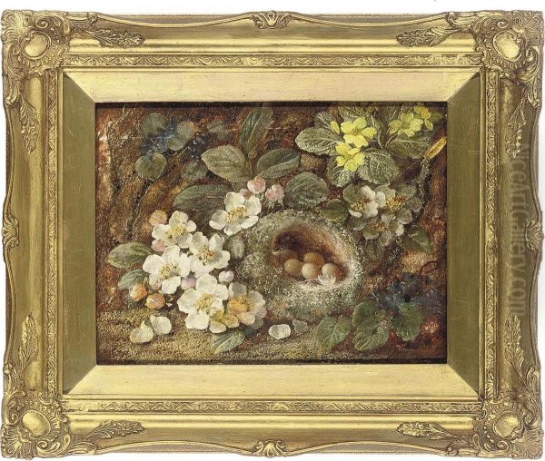 Primroses And A Bird's Nest On A Mossy Bank Oil Painting by Vincent Clare