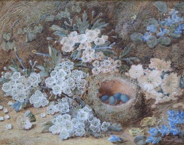 Blossom And Birds Nest On A Mossy Bank Oil Painting by Vincent Clare