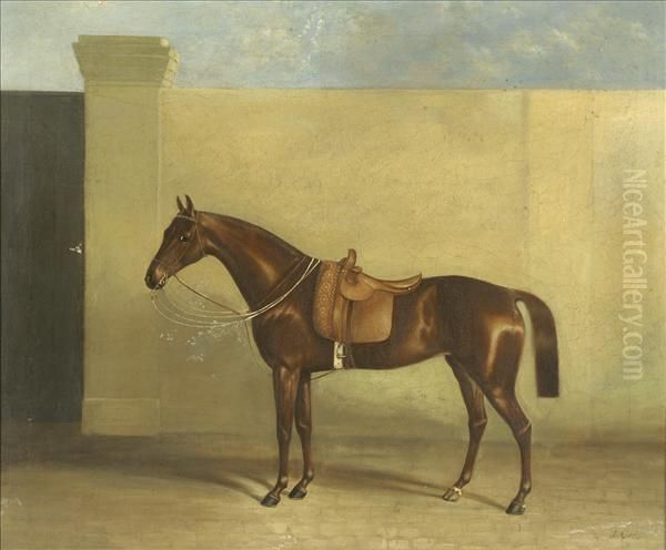 Saddled Hunter In A Stable Yard Oil Painting by Albert James Clark