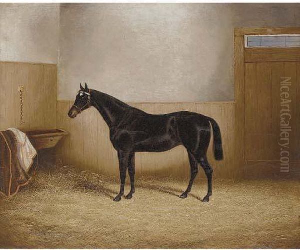 A Dark Brown Horse In A Stable Oil Painting by Albert James Clark