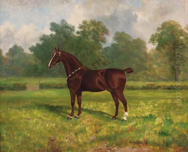 A Bay Hunter In A Paddock Oil Painting by Albert James Clark