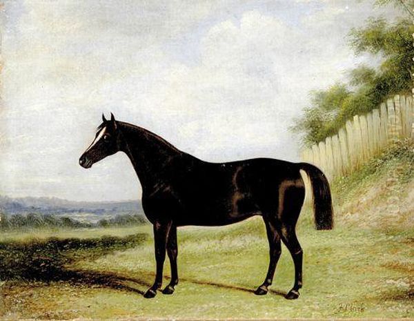 Portrait Of Racehorse Oil Painting by Francis Clark