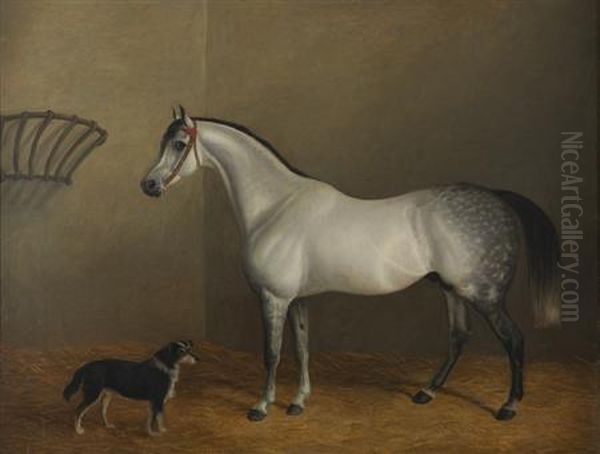 Portrait Of A Dapple Grey Hunter In A Stable Interior Oil Painting by James Clark