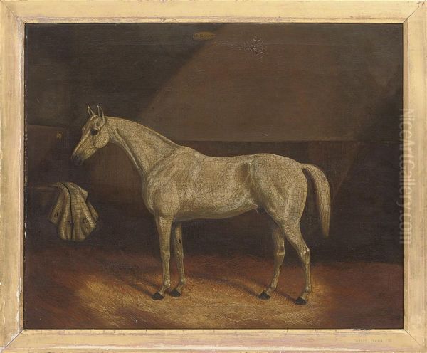 A Grey Race Horse In A Stable Oil Painting by James Senior Clark