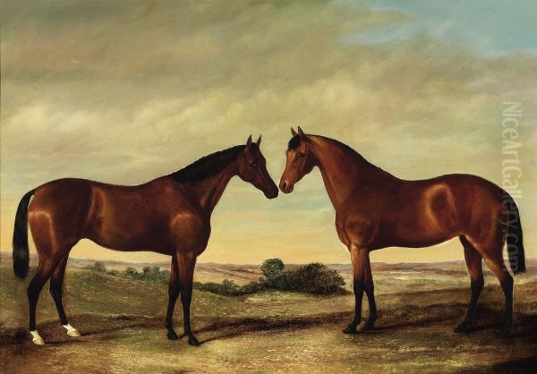 Pair Of Horses Oil Painting by James Senior Clark