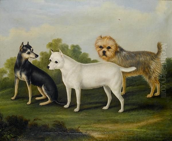 Three Terriers Oil Painting by John Clark